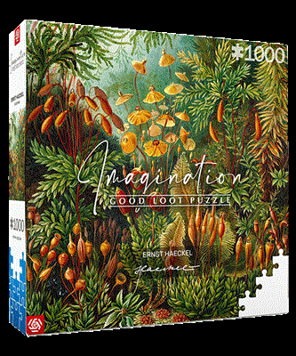 Imagination: Ernst Haeckel Muscinae Pussel 1000pcs