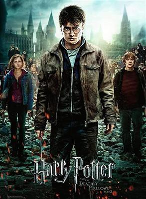 Ravensburger Pussel Harry Potter 300 pcs