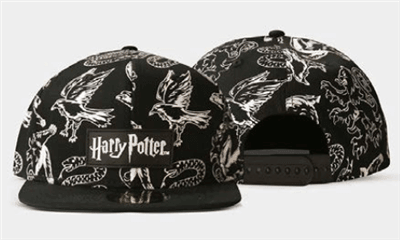 Warner - Harry Potter - Keps med 3D Embroidery
